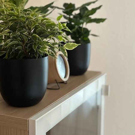 Appartement Elena Linz Luaran gambar