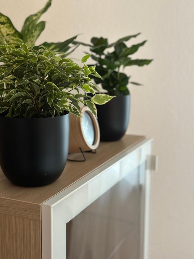 Appartement Elena Linz Luaran gambar